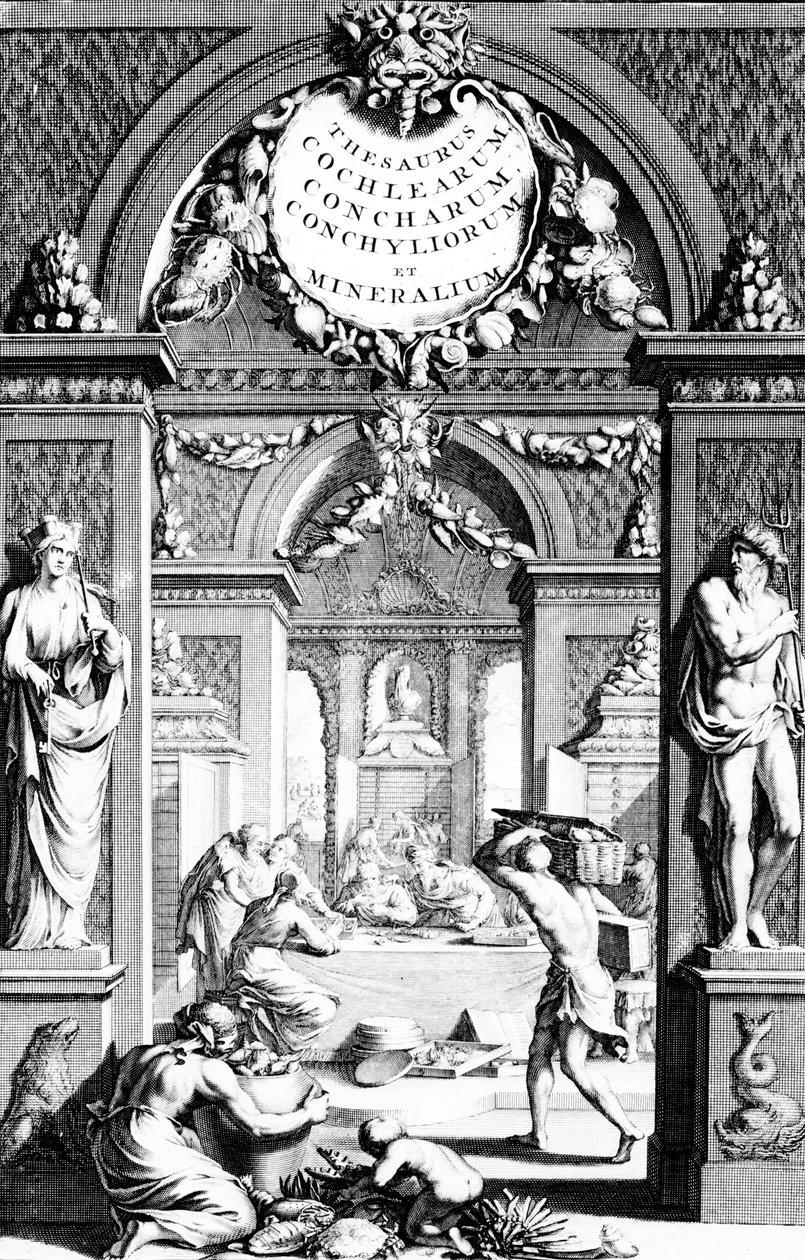 Frontispice til synonymordbog billeder af testaceous fisk af Georg Eberhard Rumphius, udgave udgivet i 1739 af German School