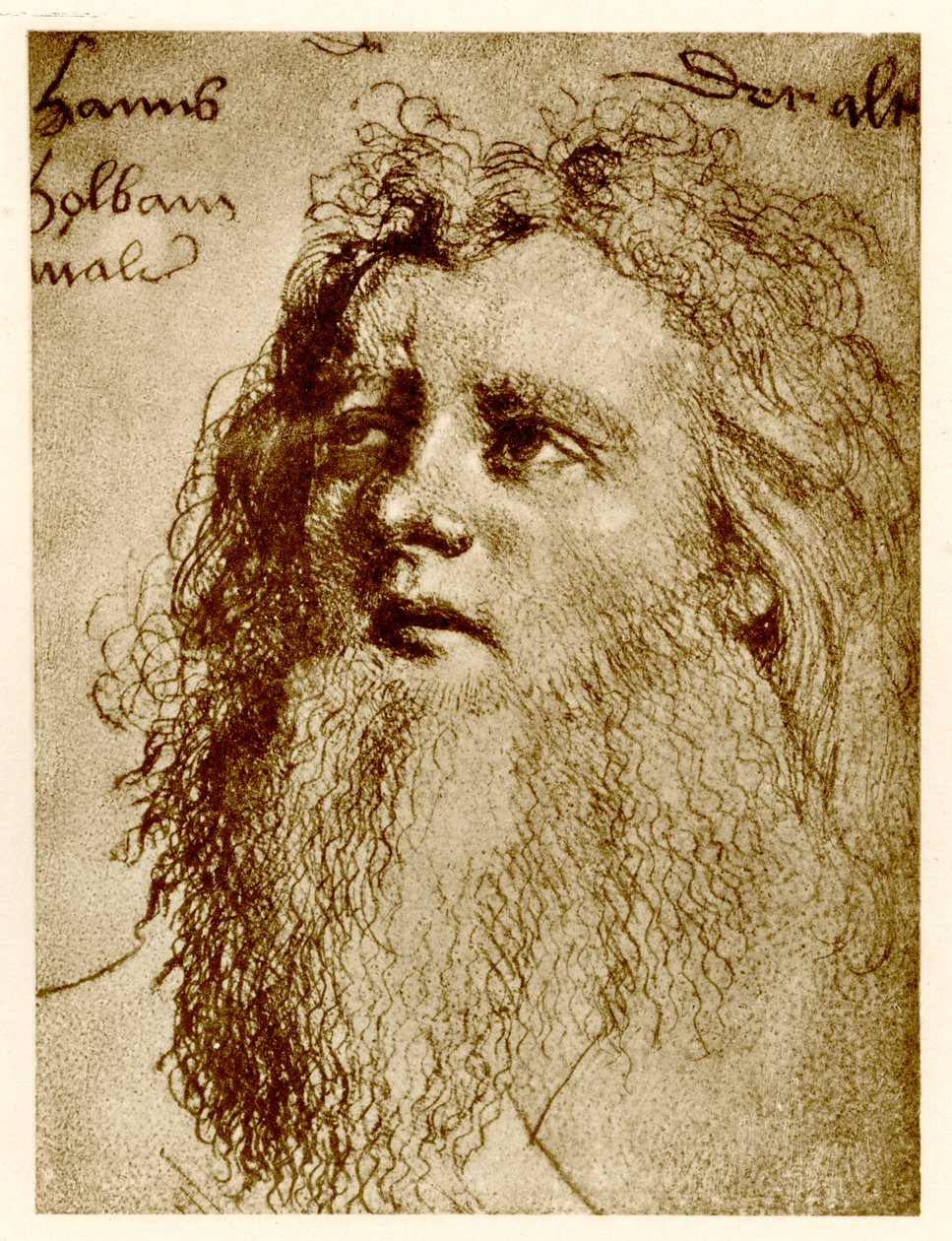 Hans Holbein den ældre, 1884-90 (fototype) af German School