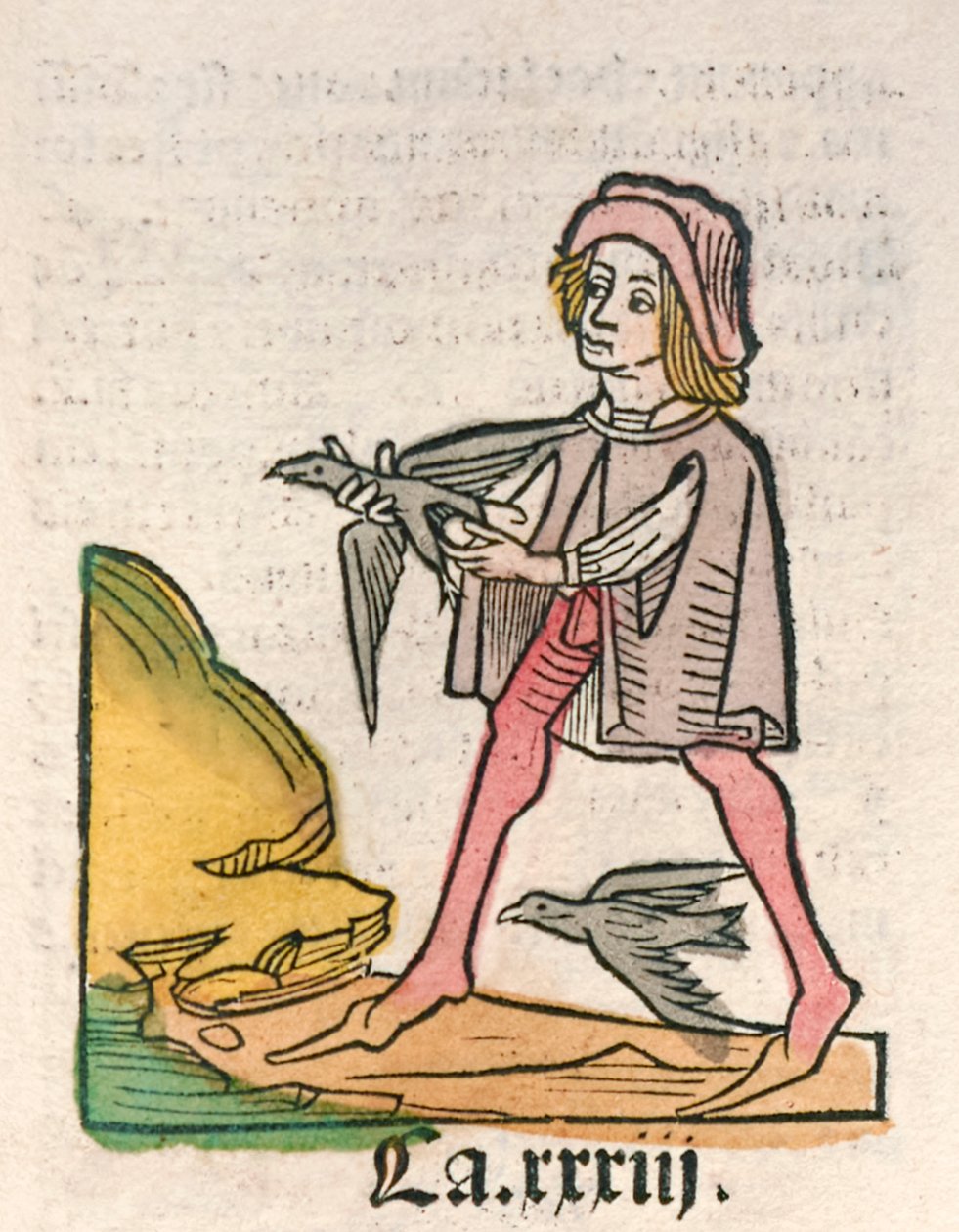 Hortus Sanitatis [Sundhedens Have] af Jacob Meydenbach udgivet i 1491 (træsnit) af German School
