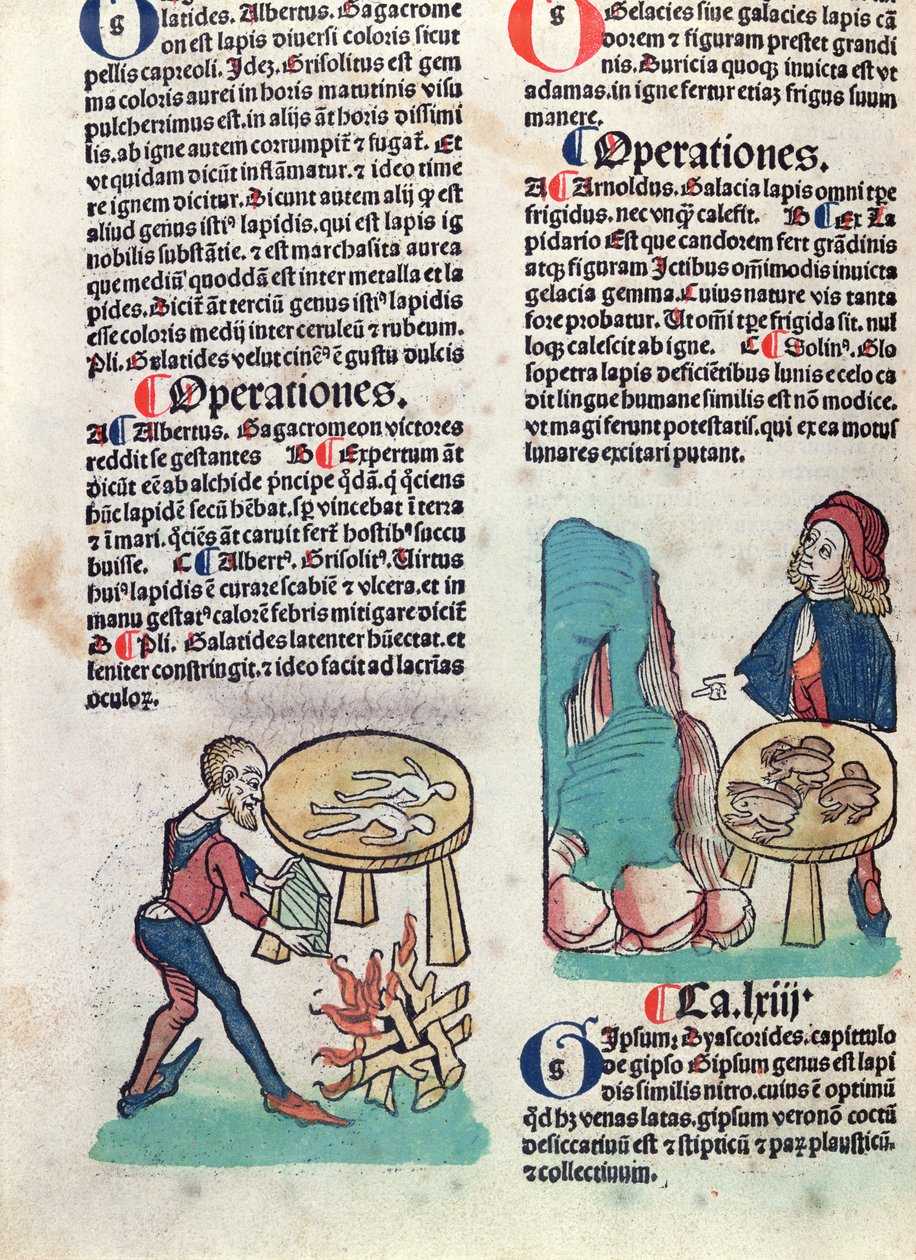 Illustreret side fra Hortus Sanitatis, 1491 (farvet træsnit) af German School