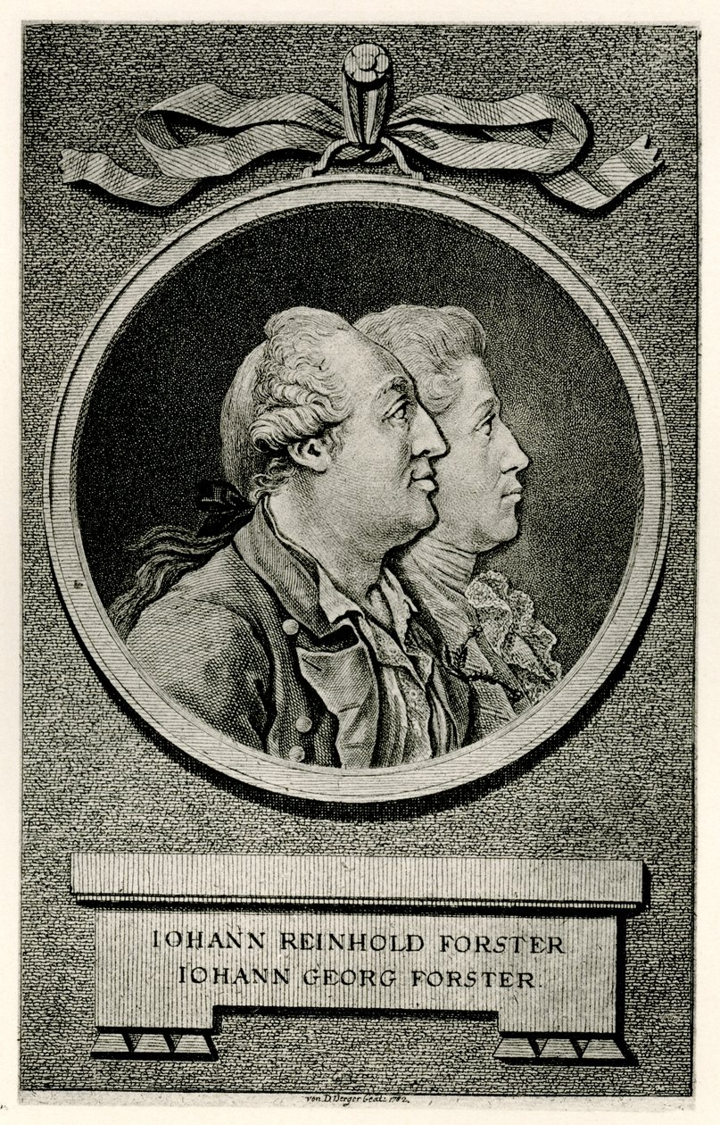 Johann Georg Forster af German School