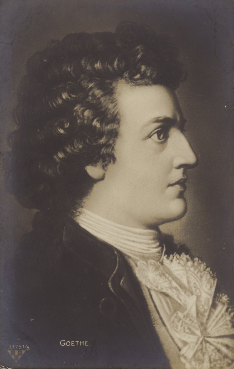 Johann Wolfgang von Goethe (1749-1832), tysk digter, romanforfatter og skuespilforfatter (litografi) af German School