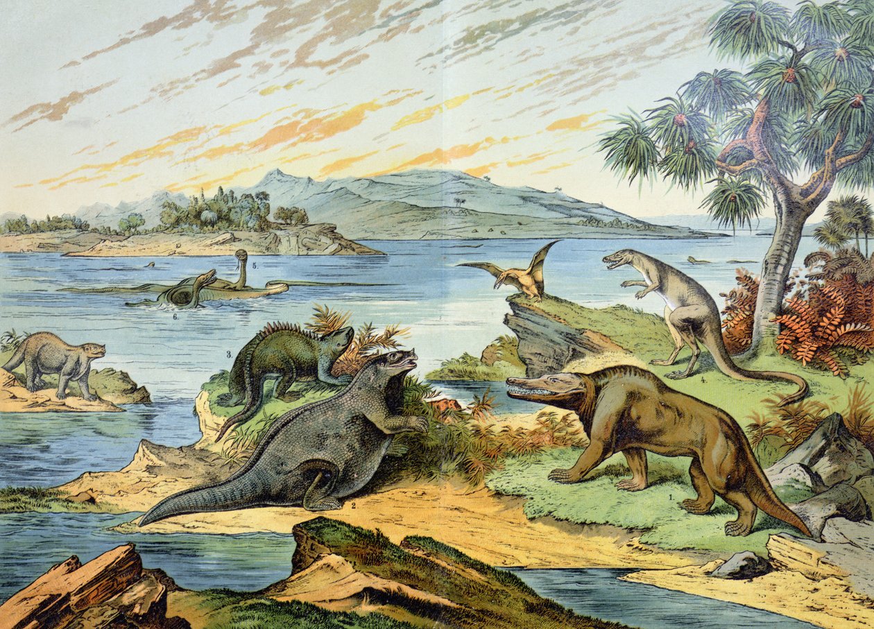 Landskab, der skildrer kridtperioden (146 til 65 millioner år siden) illustration fra Natural History of Mineralogy and Palaeontology af G.H. von Schubert, 1888 af German School