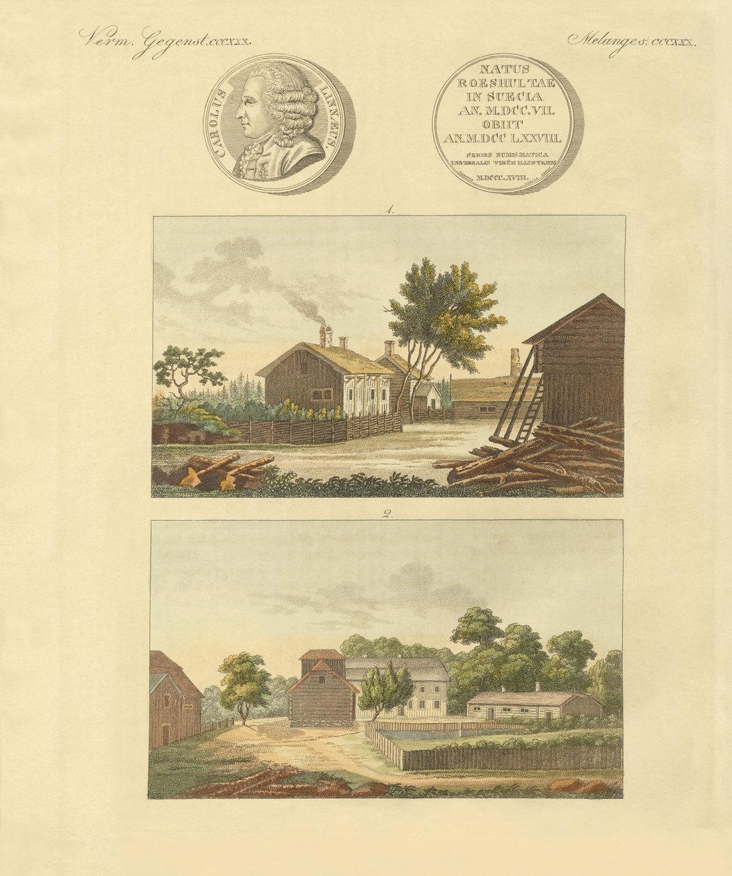 Linnes lejligheder (farvet gravering) af German School