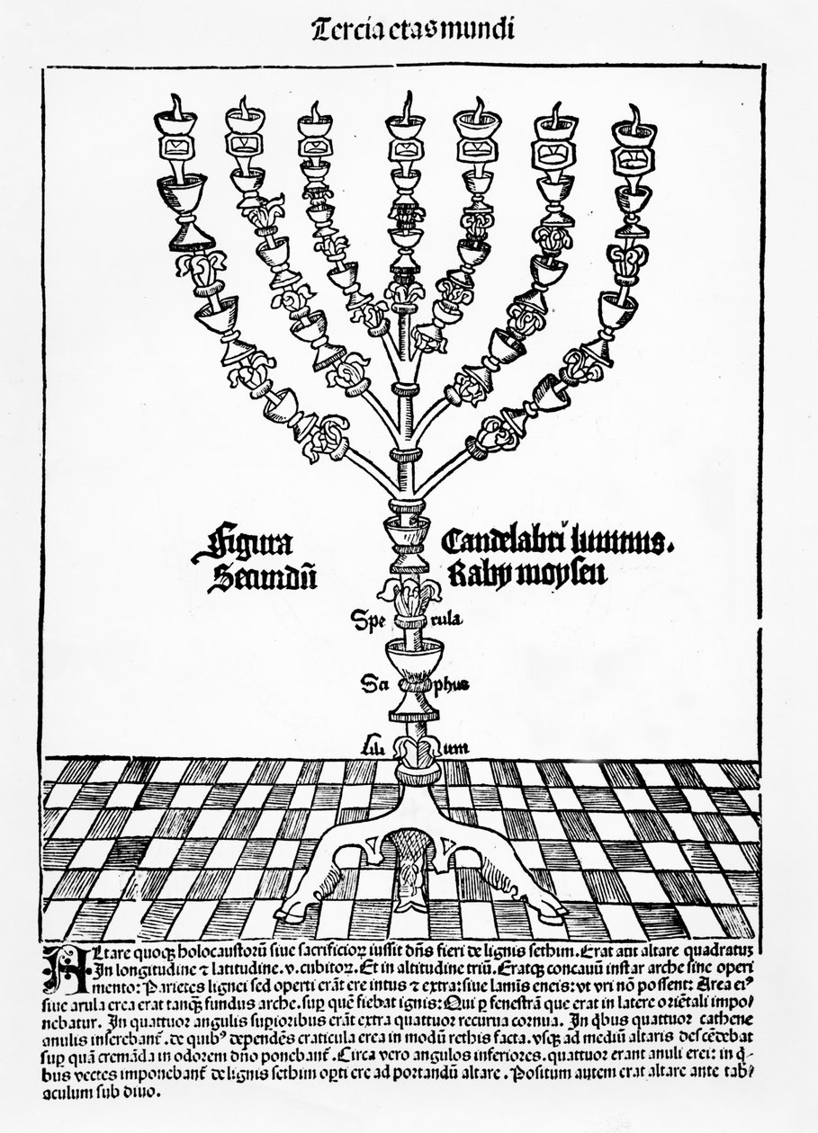 Menorah, fra Liber Chronicarum af Hartmann Schedel, udgivet i Nürnberg, 1493 af German School