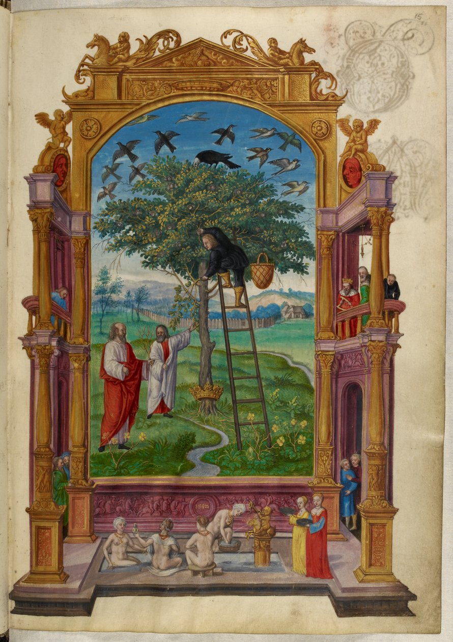 Ms Harley 3469, f.15 Gyldent træ med krone, den anden lignelse, fra 