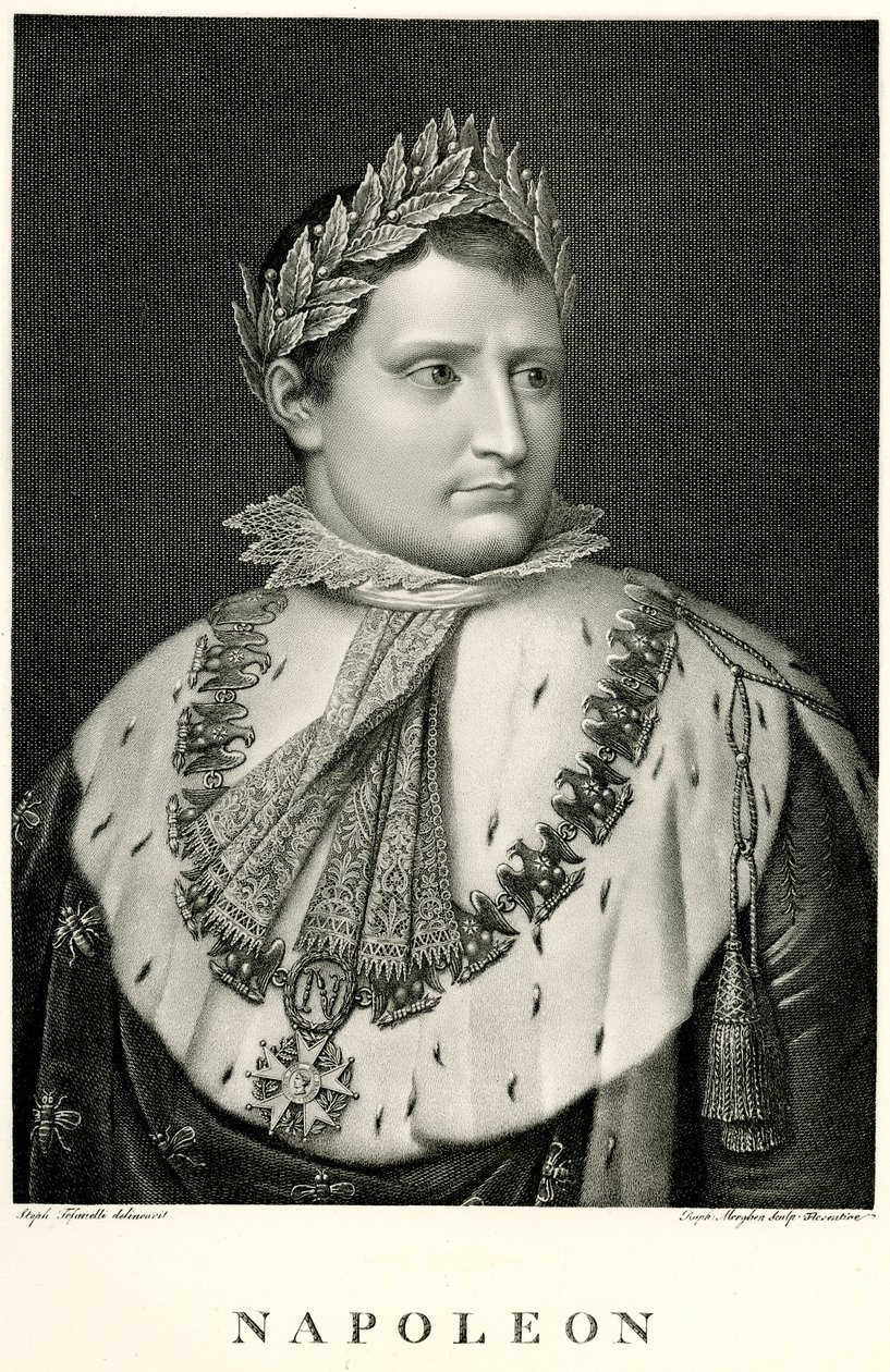 Napoleon I., 1884-90 (fototype) af German School