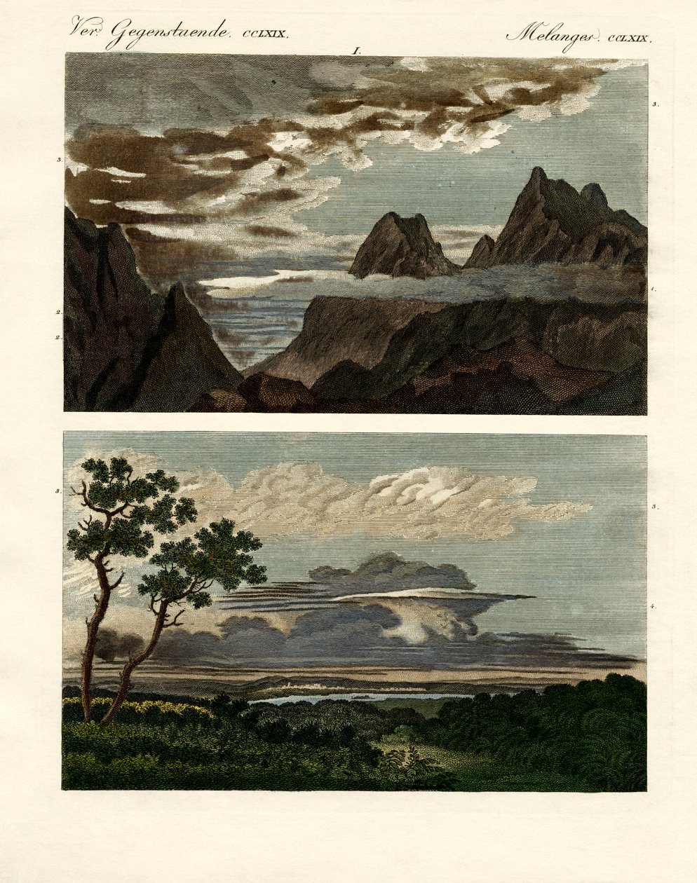 Skyernes naturhistorie (farvet indgravering) af German School