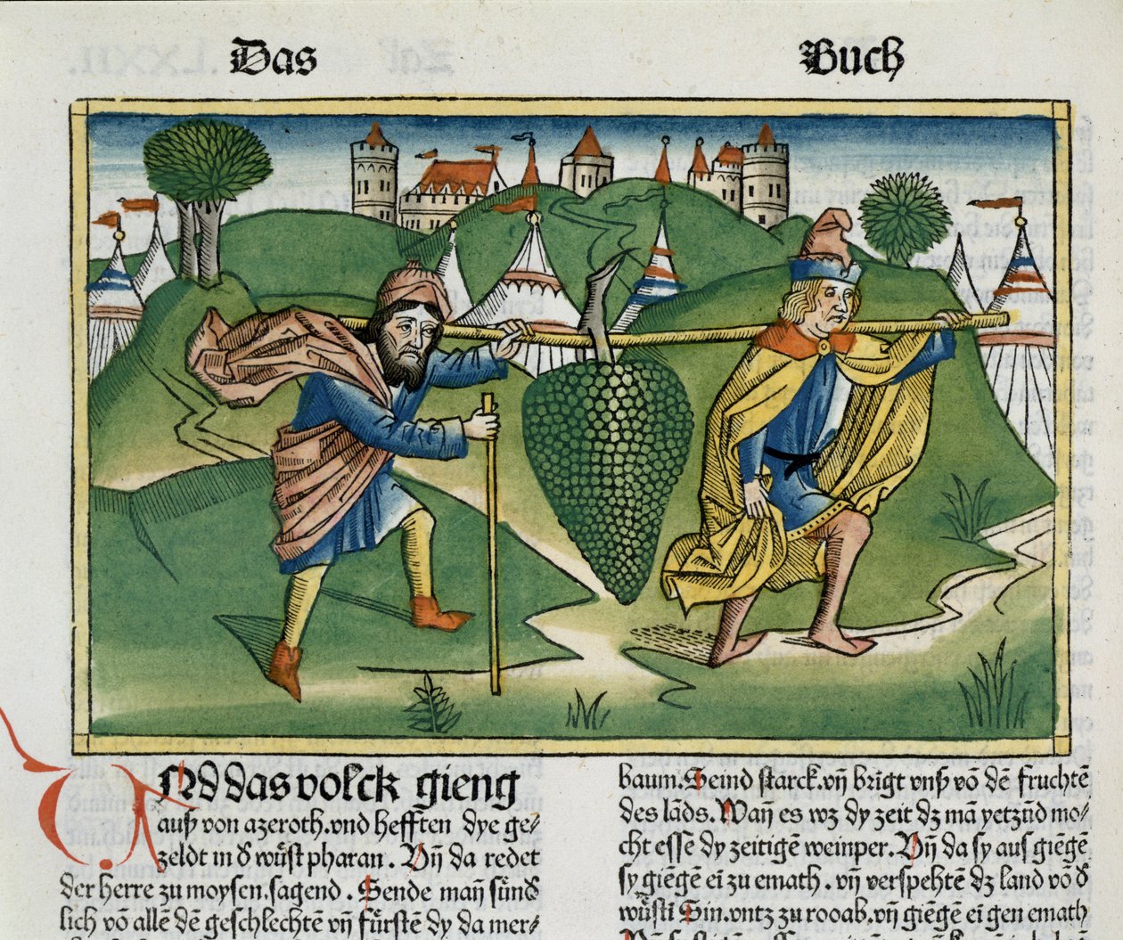 Nummer 13 23 Eshkols druer, fra Nürnbergbibelen (Biblia Sacra Germanica) (farvet træsnit) af German School
