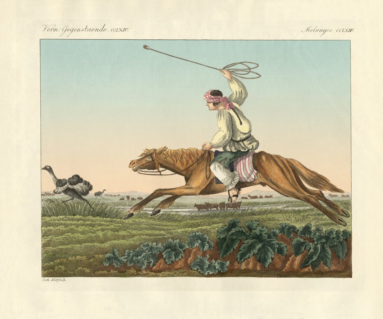 Strudsejagt (farvet indgravering) af German School