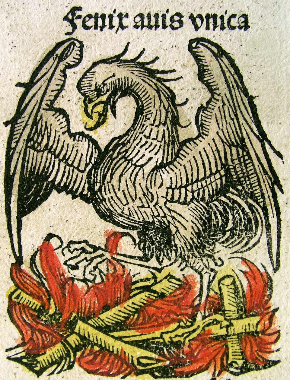 Phoenix offentliggjort i Nürnberg Chronicle, 1493 af German School