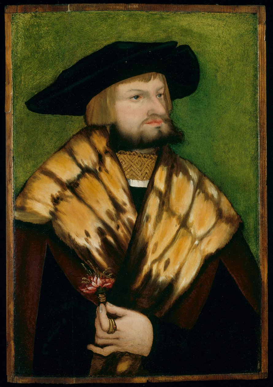 Portræt af Leonhard Fuchs af German School