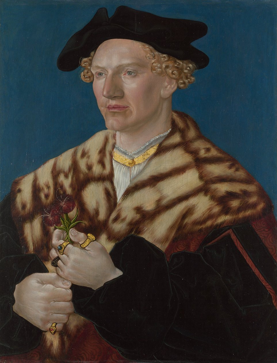 Portræt af en mand, ca. 1530-40 (olie på bøg) af German School