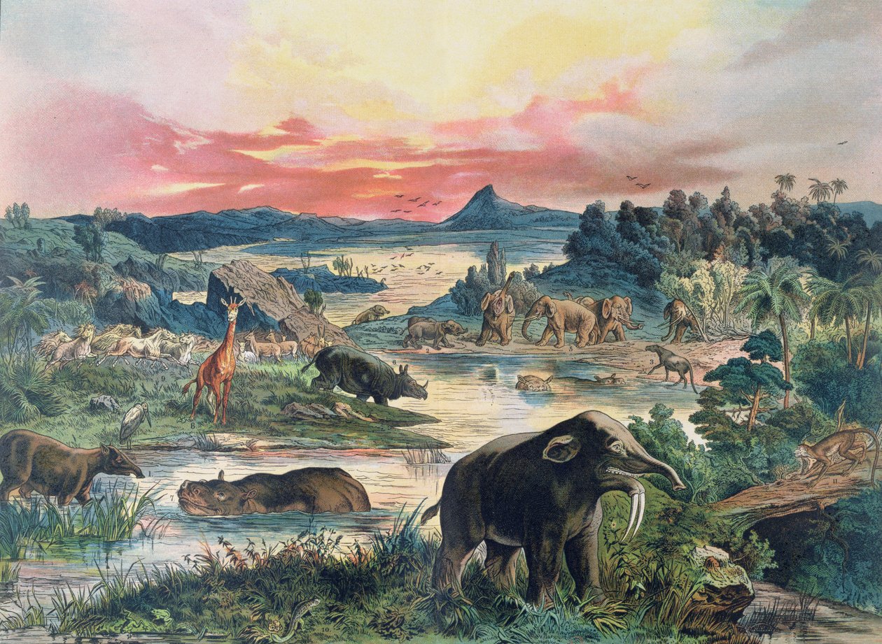 Forhistorie - tertiær - genopbygning af det naturlige miljø i Europa og nogle af dyrene fra denne periode, 1886 af German School