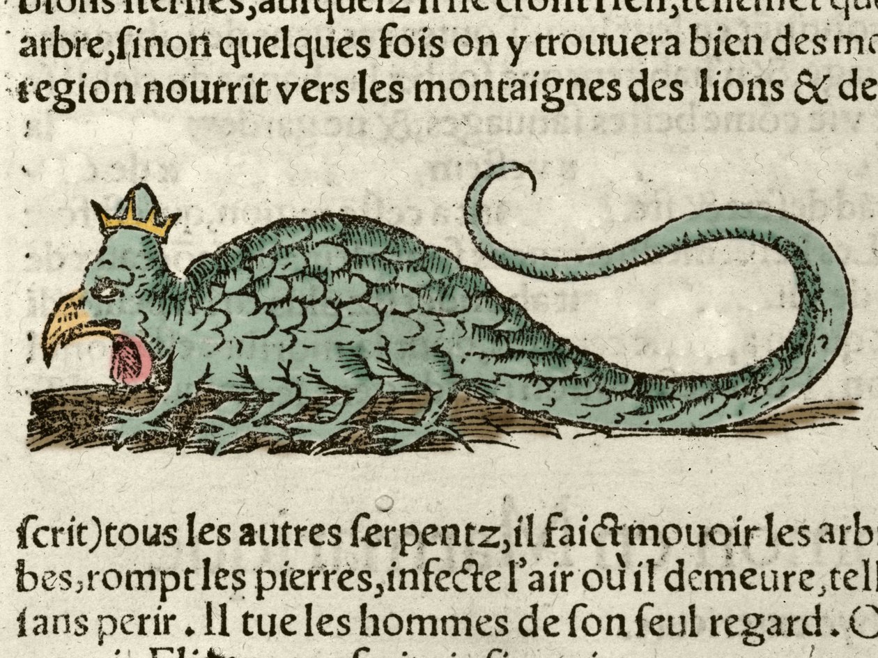 Repræsentation af det mytologiske monster Basil Xilography taget fra Sebastien Munsters Universal Cosmography. balle af German School