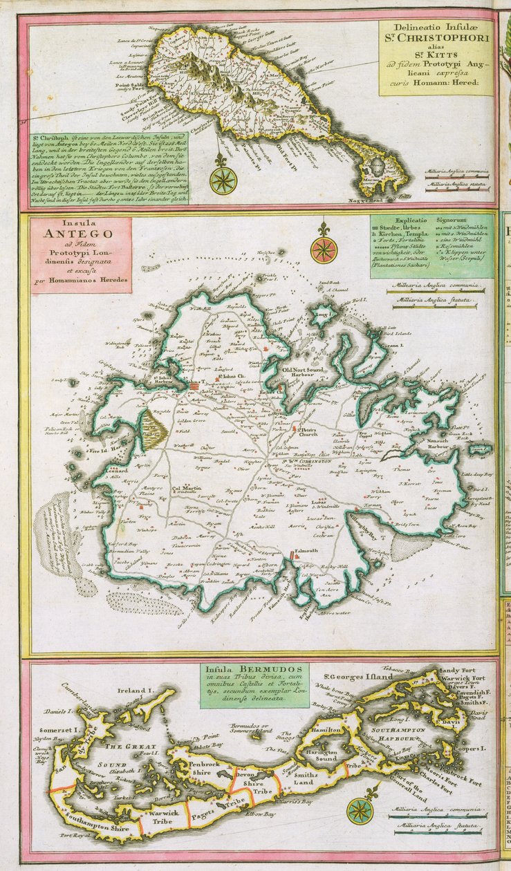 St. Kitts, Antigua og Bermuda, detaljer fra et kort over engelske kolonier i Caribien, pub. af Homanns arvinger, Nürnburg, ca. 1750 af German School