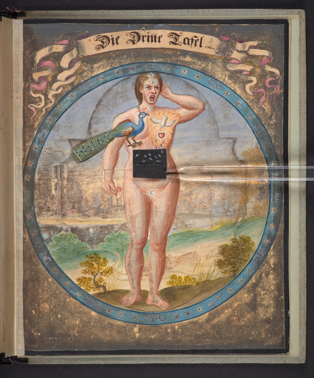 Tabeller, der repræsenterer mennesket i tre forskellige tilstande af German School