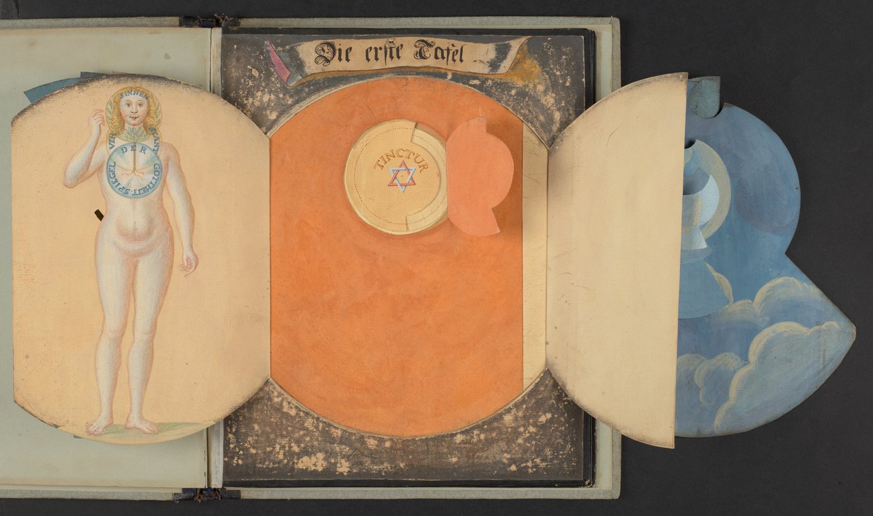 Borde, der forestiller mennesket i tre forskellige tilstande, Add MS 5788 af German School