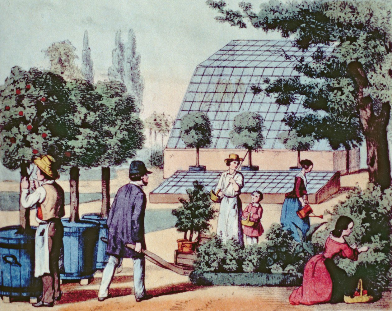 Tending the Garden, ca. 1860 (farvegravering) af German School