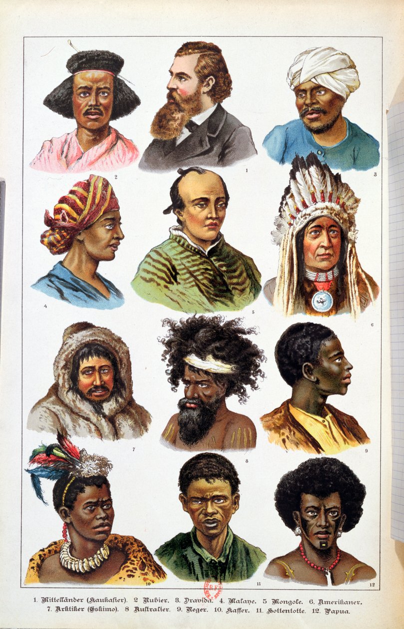The Different Human Races, fra Natural History of the Animal Kingdom af Gotthelf Heinrich von Schubert (1780-1860), 1861 (farvegravering) af German School
