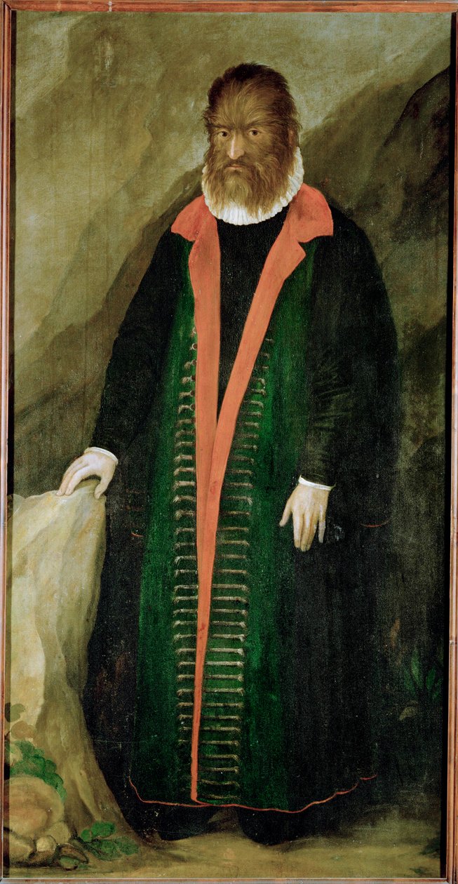 Den behårede mand, Petrus Gonzalvus, født 1556 på Teneriffa ... af German School