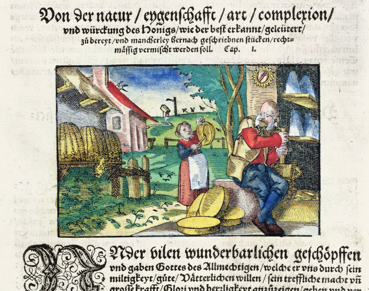 De helbredende og terapeutiske anvendelser af honning i medicin, illustration fra en tysk afhandling om medicin udgivet i Strasbourg i 1573 (farvet træsnit) af German School