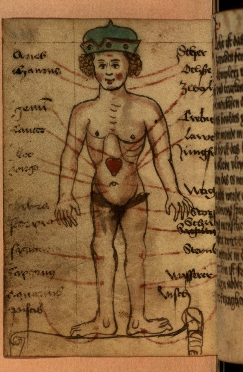 Stjernetegn, der viser hjertets position, fra en samling af bønner og astrologiske figurer af German School