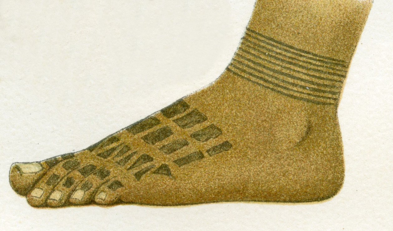 eksempel på Dayak fodtatoveringsdesign, Borneo, 1894 af German School