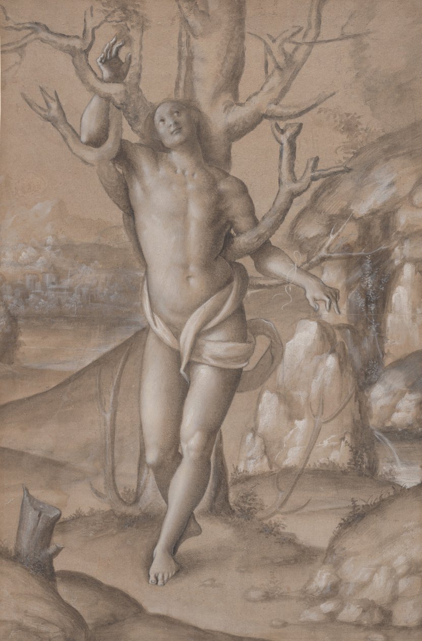Sankt Sebastian, ca. 1524. af Gerolamo Giovenone