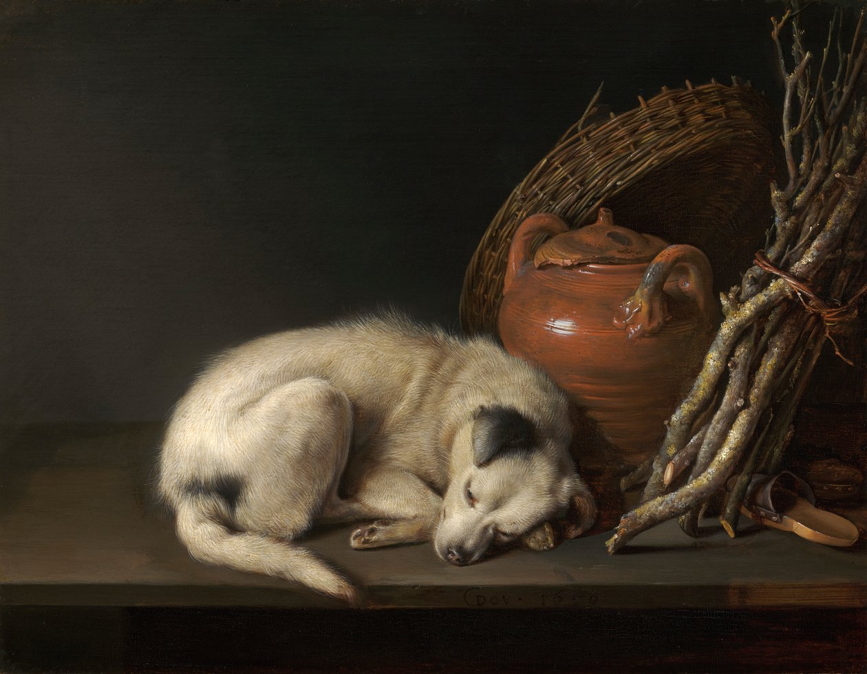 En sovende hund af Gerrit Dou