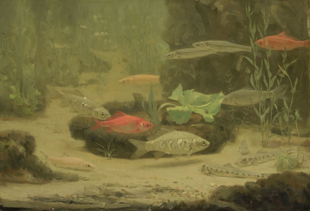Guld- og sølvfisk i et akvarium af Gerrit Willem Dijsselhof