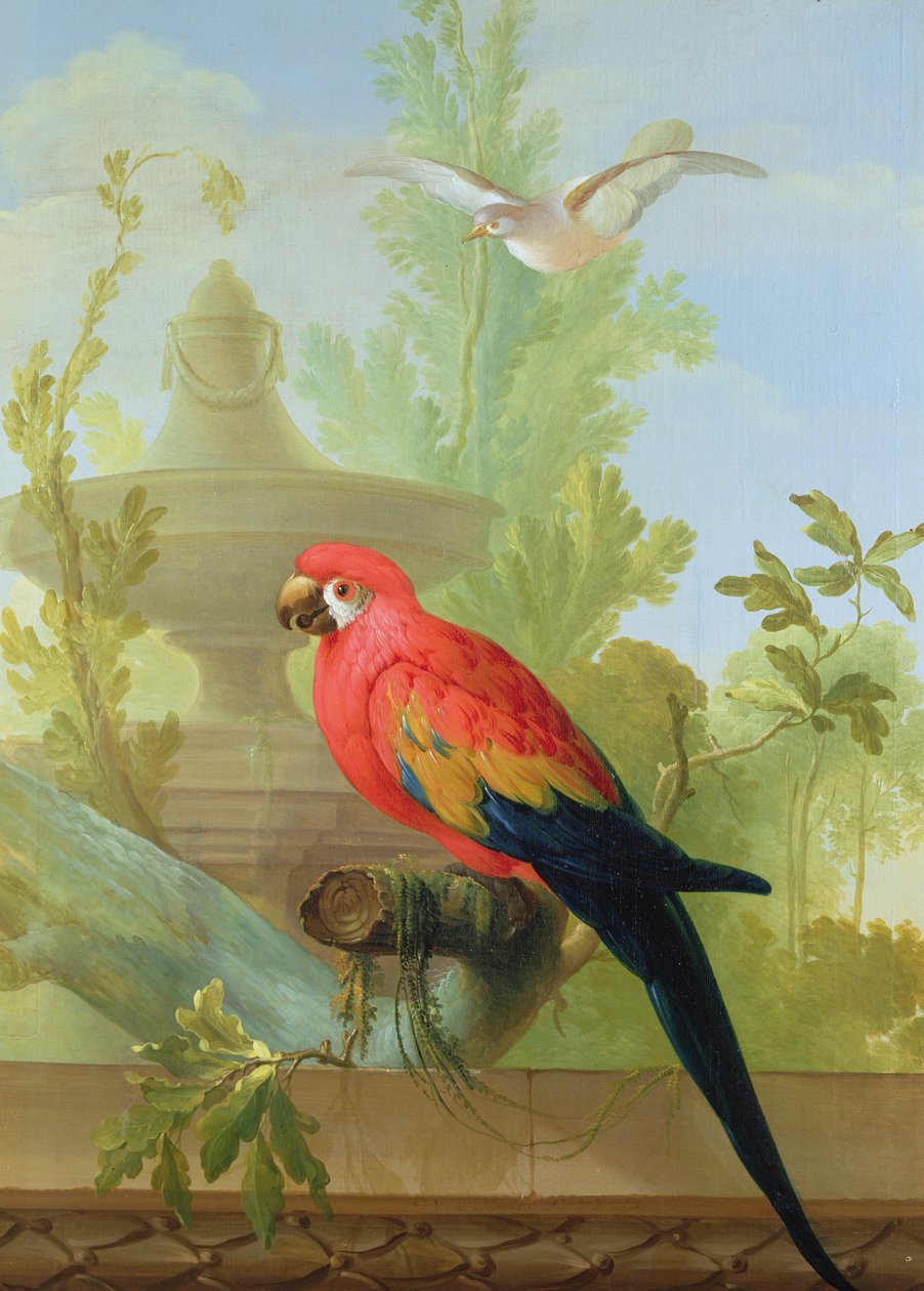 En ara og en due i en prydhave, 1772 af Gerrit van den Heuvel