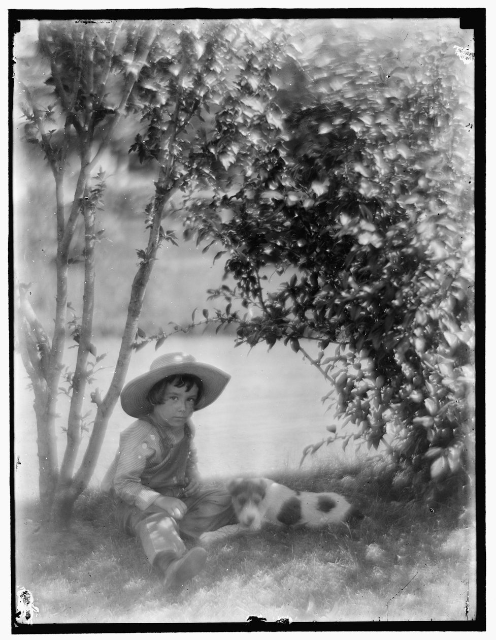 Dreng med hund af Gertrude Käsebier