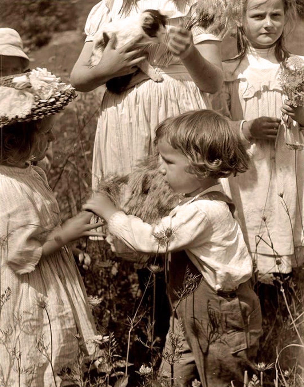 Glade dage 1902 Gertrude Kasebier (1852-1934). af Gertrude Käsebier