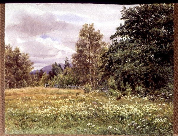 Eng-sød nær Polchar, Aviemore, Skotland af Gertrude Martineau
