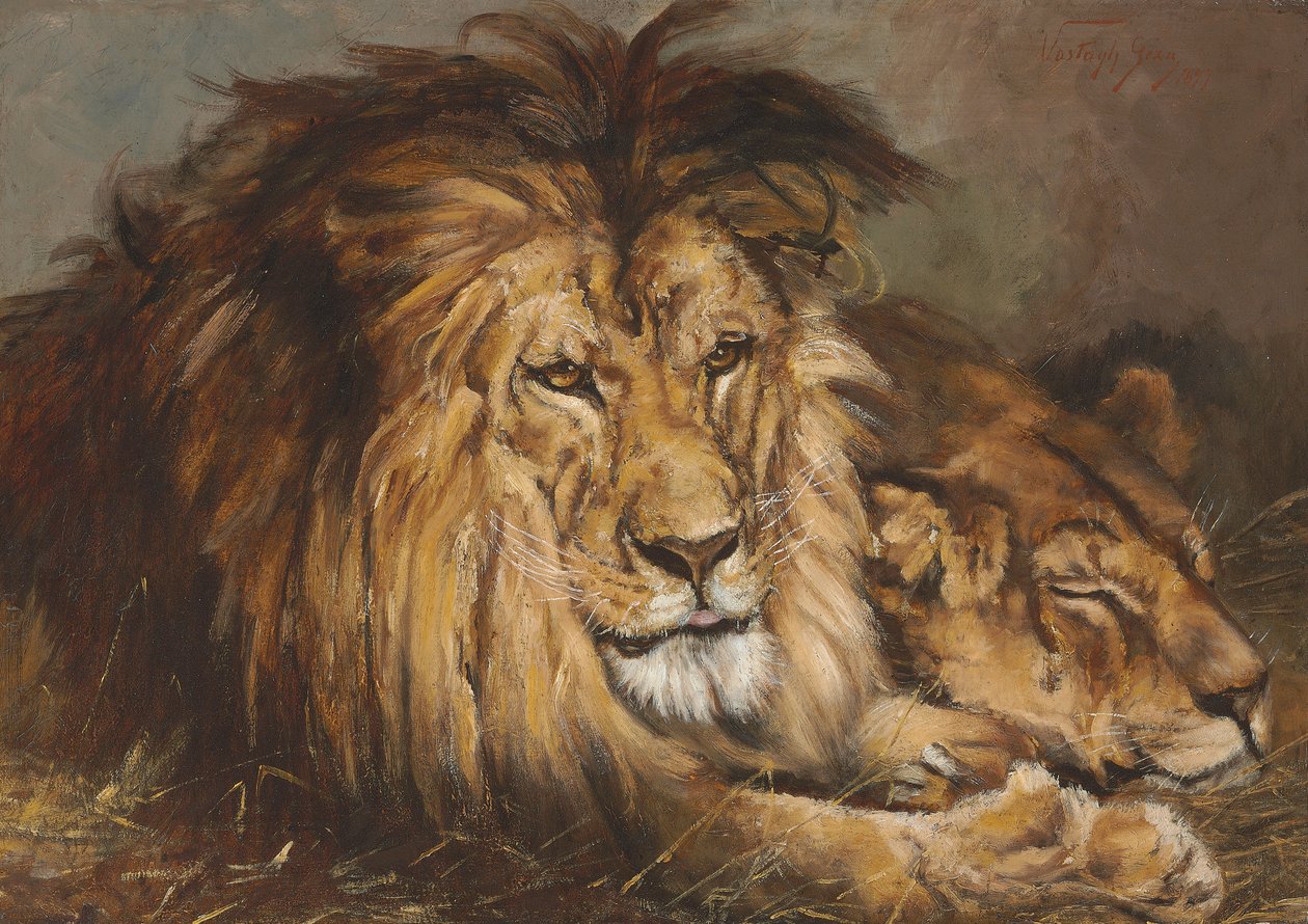 Skitse til "Lion and Lioness Resting", 1899 af Geza Vastagh