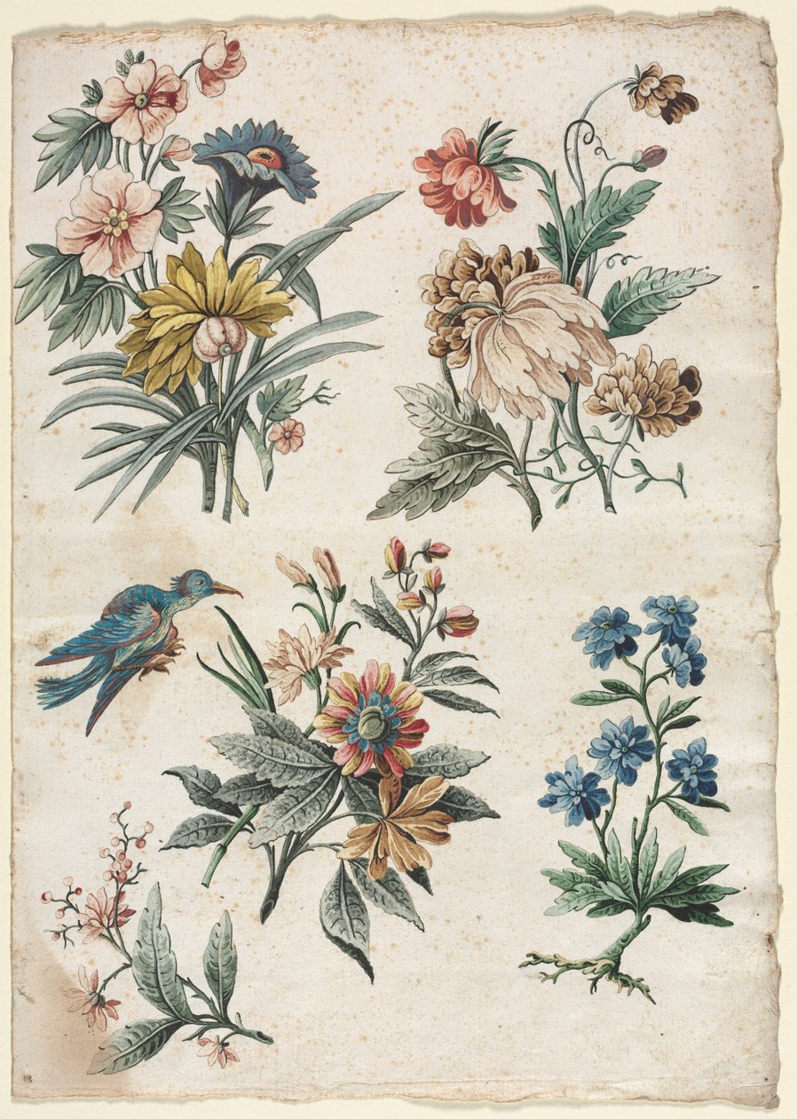 Blomstermotiver med en blå fugl, ca. 177374. af Giacomo Cavenezia