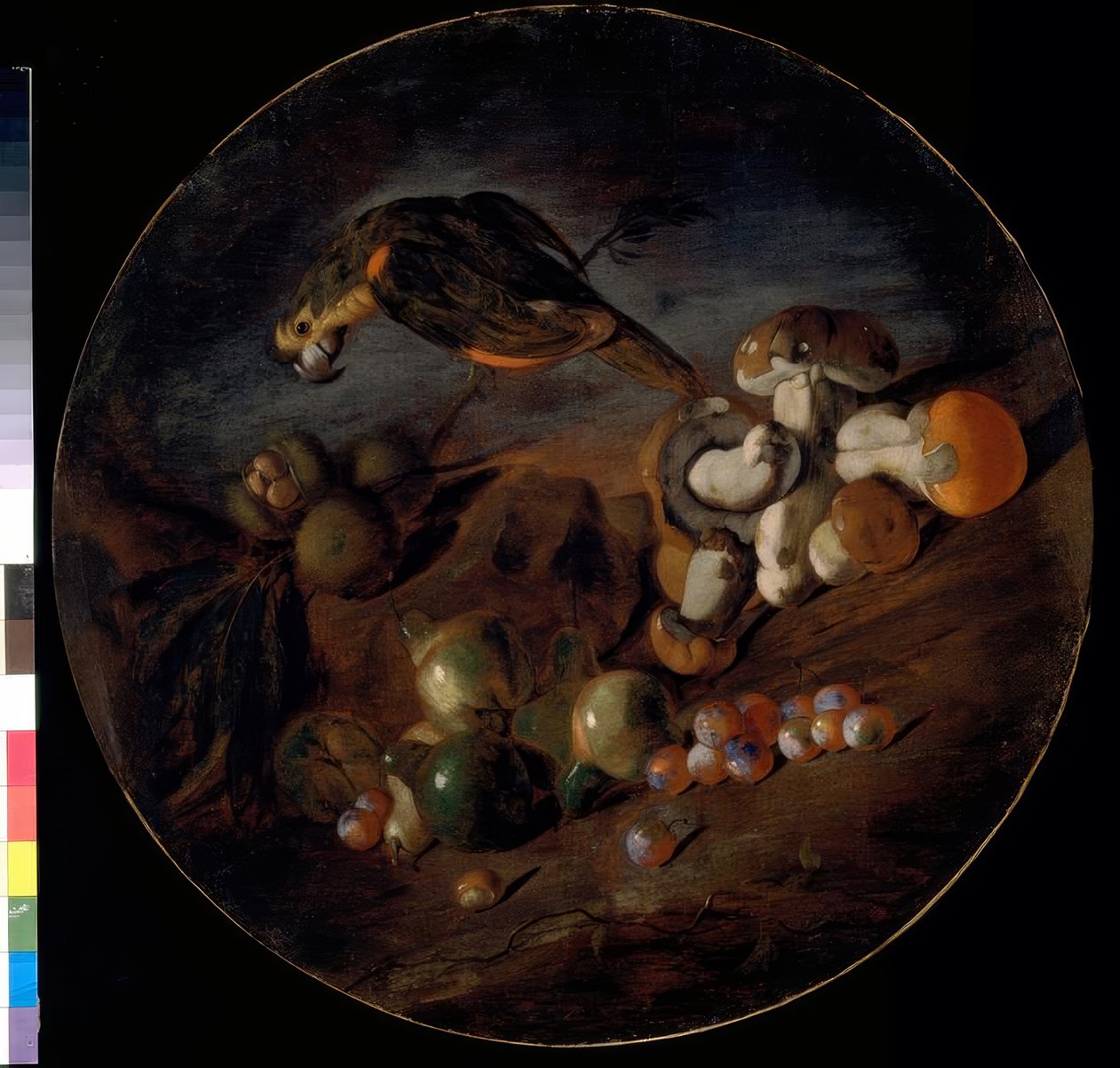 Stilleben med svampe, frugter og en papegøje af Giacomo Fardella de Calvello