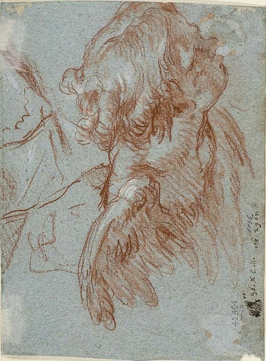 Undersøgelse for detaljer: Leder af en Cherub af Giambattista Tiepolo