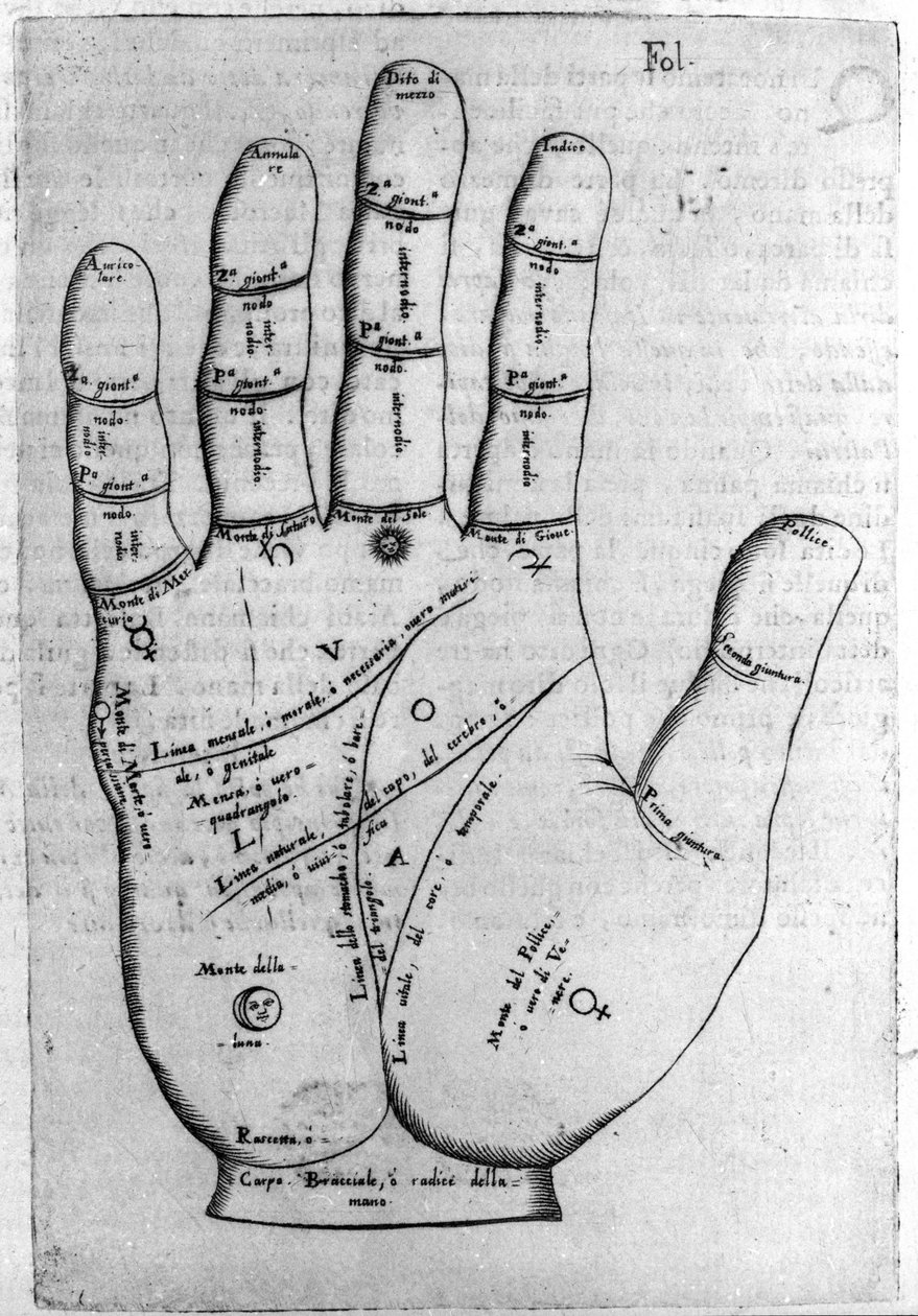 Chiromanti og spådomsforudsigelse: repræsentation af de forskellige linjer i hånden, der tillader fortolkningen af personligheden. Gravering fra "" De magia"" af Giambattista della Porta (1537? -1615) 1589 af Giambattista della Porta