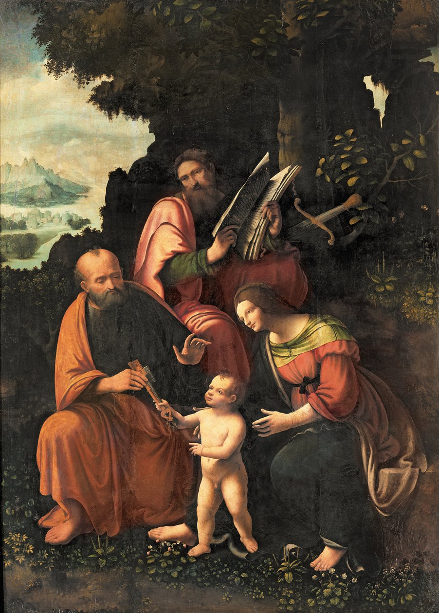Jomfruen og barnet med SS. Peter og Paul af Gian Giacomo Caprotti