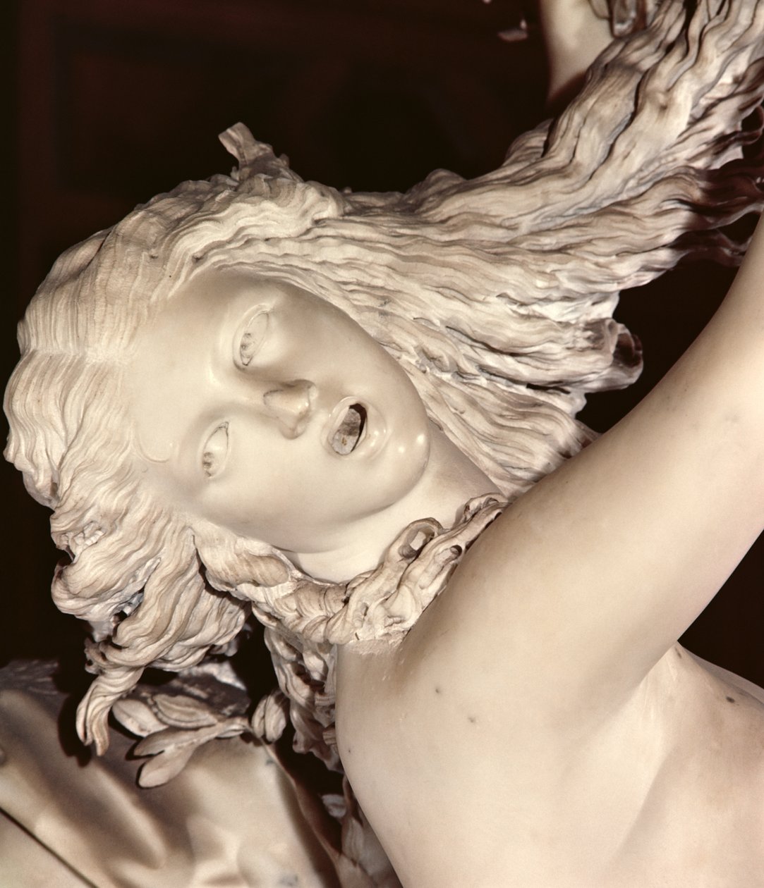 Apollo og Daphne, detalje af Daphnes hoved, 1622-25 marmor af Gian Lorenzo Bernini