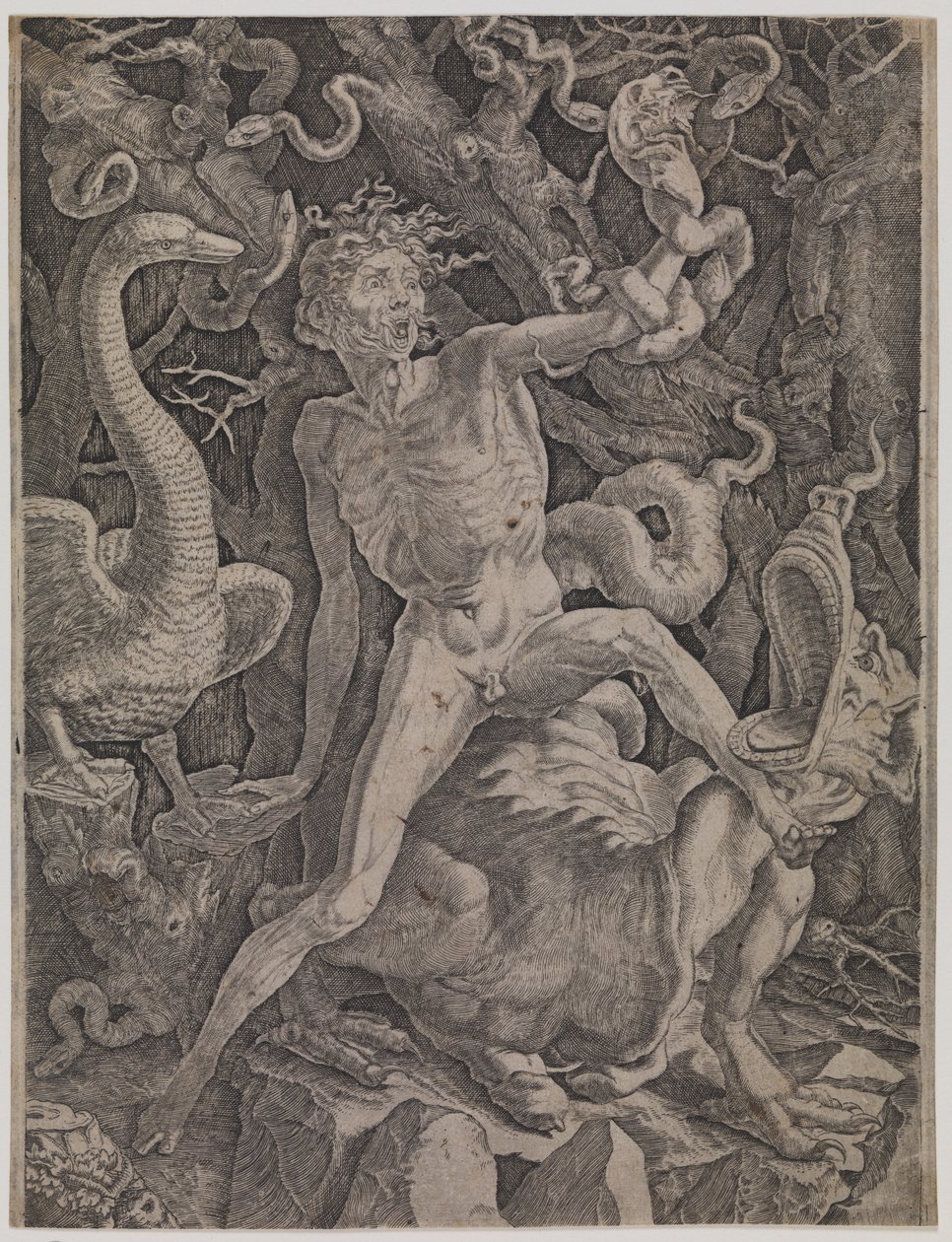 Allegori på vreden af Gian Jacopo Caraglio