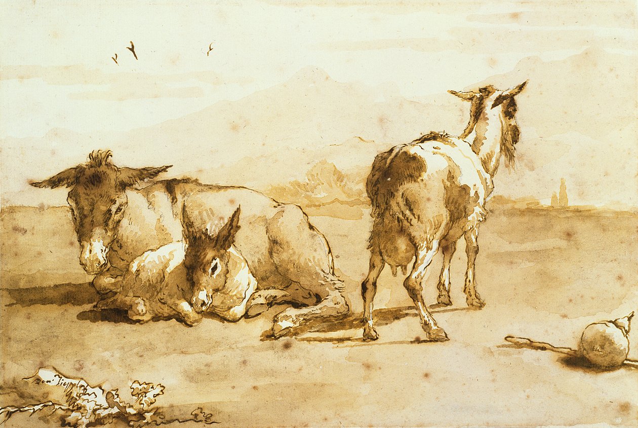 PD.32-1959 To æsler og en ged i et landskab (pen og brunt blæk med vask på papir) af Giovanni Domenico Tiepolo