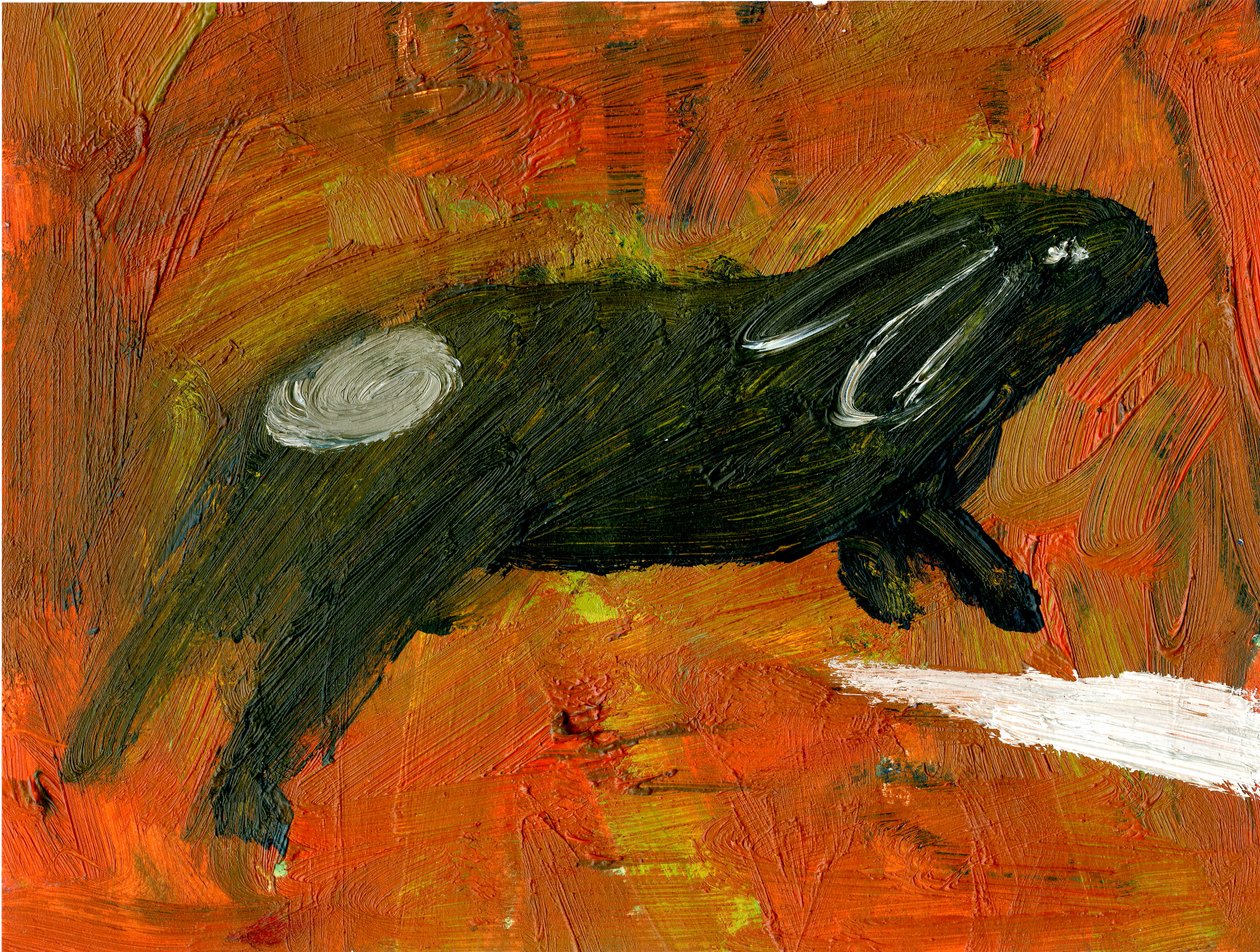 Kanin, 2005, (olie på papir) af Gigi Sudbury