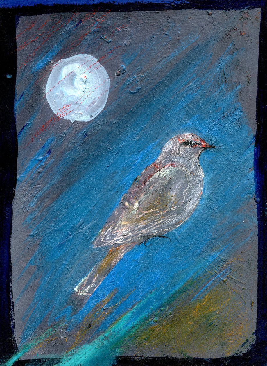 Moon Bird, 2016, (olie på papir) af Gigi Sudbury