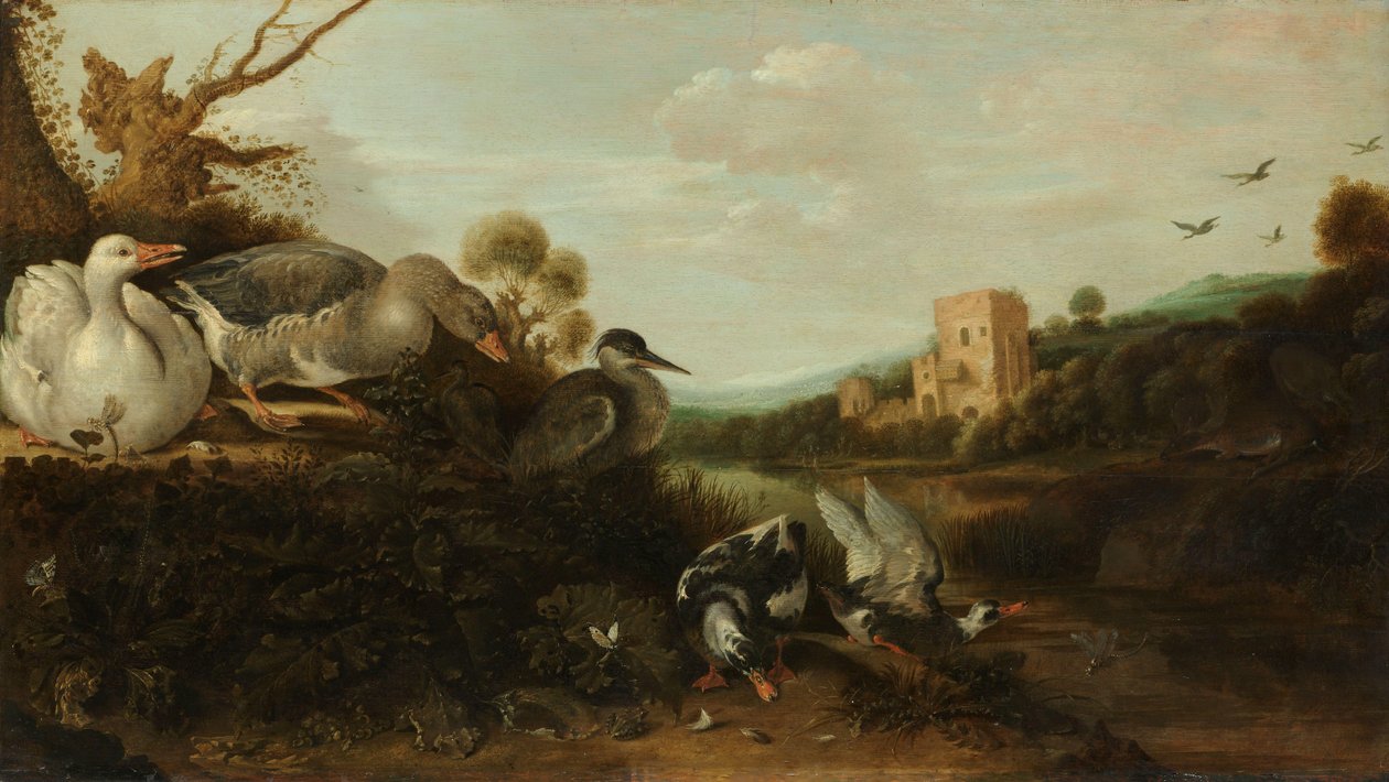 Vandfugle af Gijsbert Gillisz de Hondecoeter