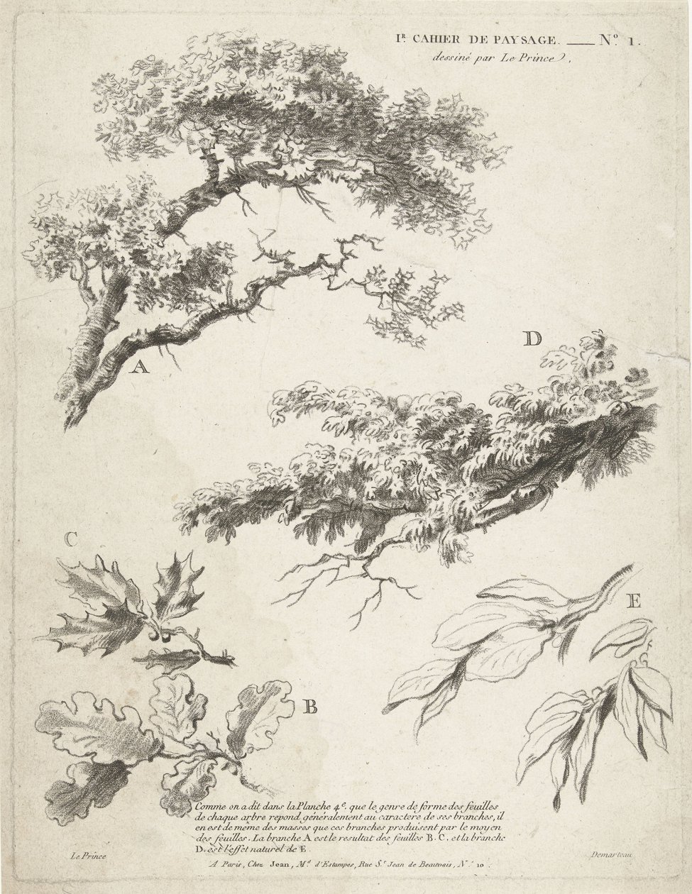 Undersøgelse af grene med blade 1er Cahier de paysage (serietitel) af Gilles Demarteau
