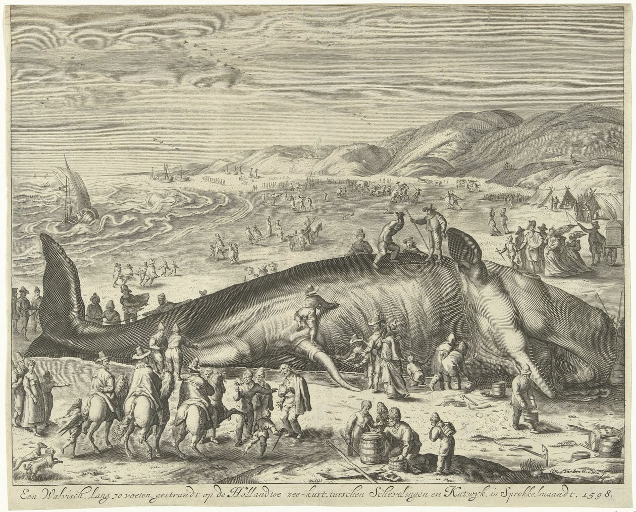 Strandet hval ved Berckhey, 1598 En hval lang 70 fod, strandet på den hollandske havkyst, mellem Schevelingen og Katwyk, i Sprokkelmaandt, 1598 (titel på objektet) af Gilliam van der Gouwen
