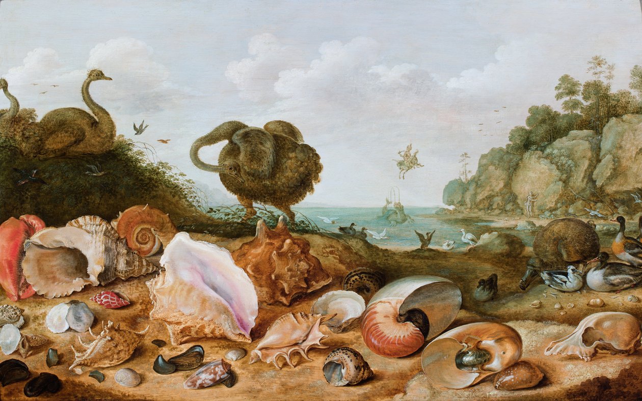 Skaller og fugle, bl.a. en dront, på en strand, Perseus redder Andromeda i baggrunden. af Gillis Claesz d